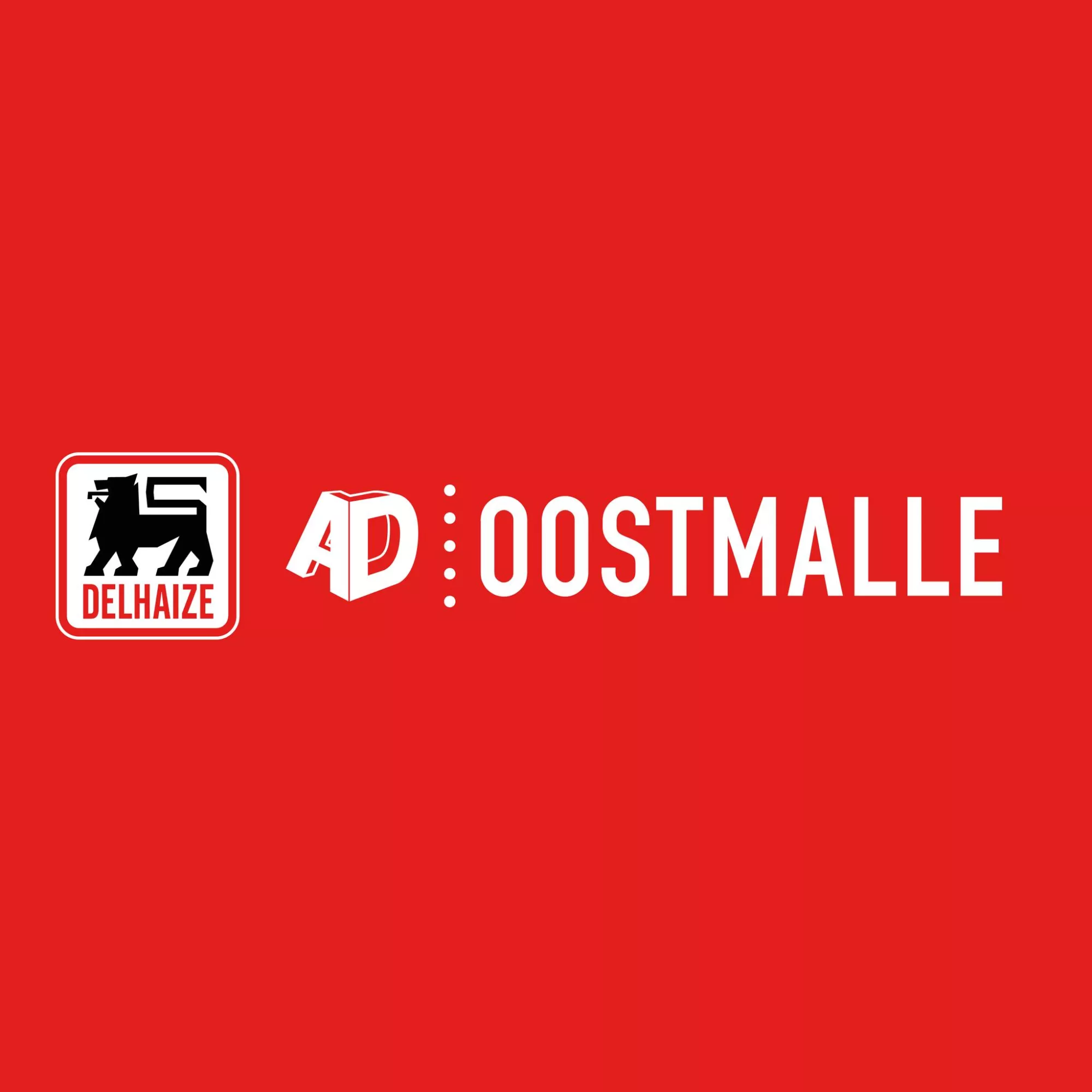 AD Delhaize Oostmalle